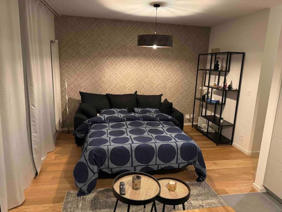 Charmant Studio Genève Extérieur photo